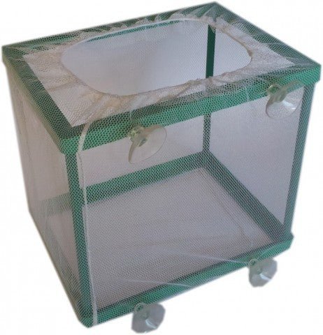 Zuchtbecken für Fische - Aquarium Zuchtbox - Brutbehälter - Aquaristik - LandAqua Nova5904378733544