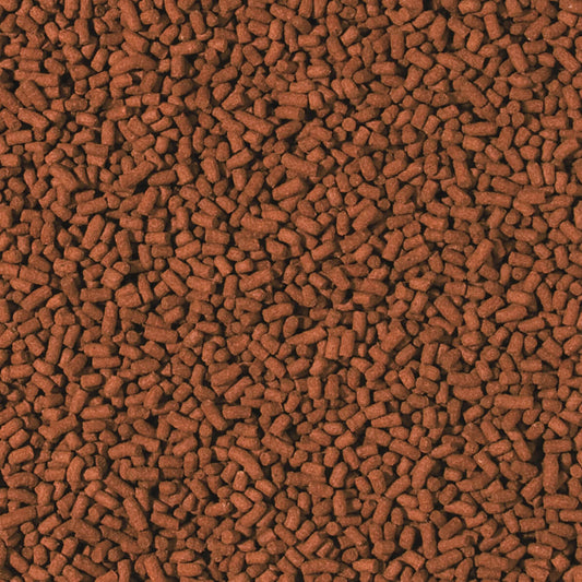 Shrimp Sticks - Aquaristik-Land