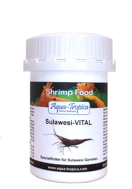 Sulawesi-Vital - Aquaristik-Land