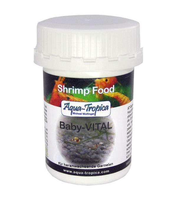 Baby-Vital - Aquaristik-Land