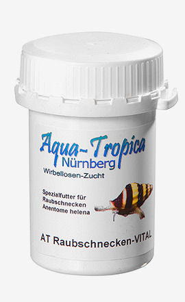 Raubschnecken-Vital - Aquaristik-Land