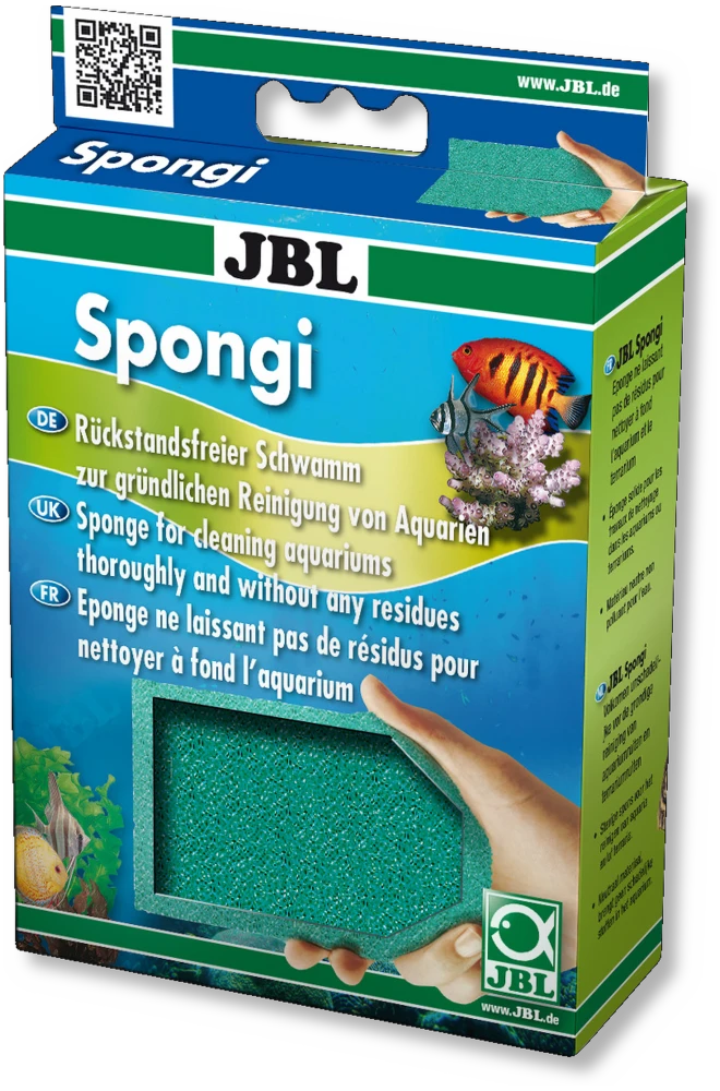 Spongi - Aquaristik-Land