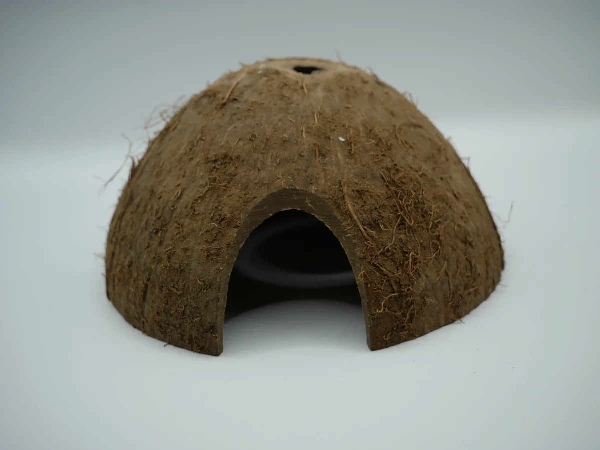 Kokosnuss Höhle - Aquaristik-Land