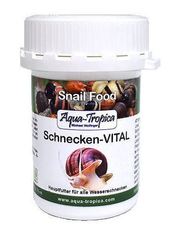 Schnecken - Vital - Aquaristik - LandAqua - Tropica4260344241378