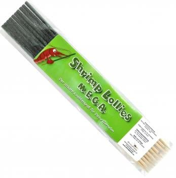 Shrimp - Lollies - Aquaristik - LandSchmitt Aquaristik073160000846