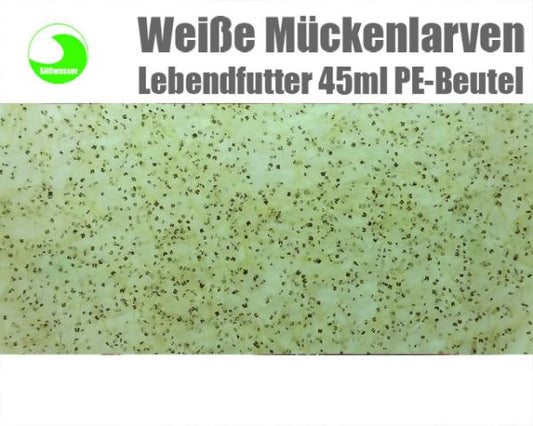 Weisse Mückenlarven lebend (vorbestellung) 10 x