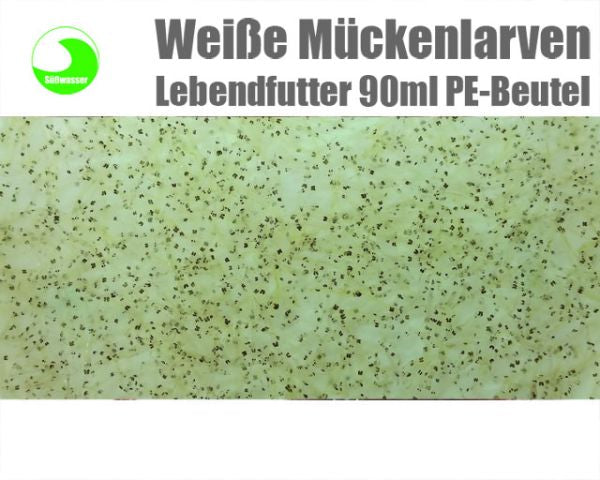 Weisse Mückenlarven lebend (vorbestellung) 10 x