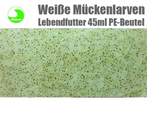 Weisse Mückenlarven lebend (vorbestellung) 10 x - Aquaristik - LandAquaristik - Land