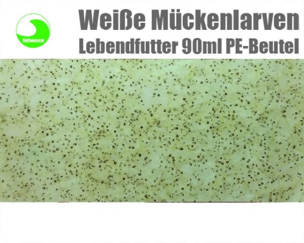 Weisse Mückenlarven lebend (vorbestellung) 10 x - Aquaristik - LandAquaristik - Land