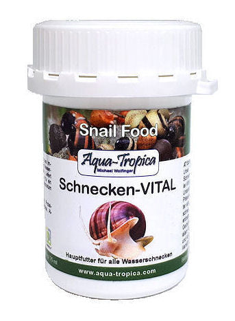 Schnecken-Vital