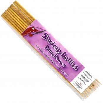 Shrimp - Lollies - Aquaristik - LandSchmitt Aquaristik073160000846